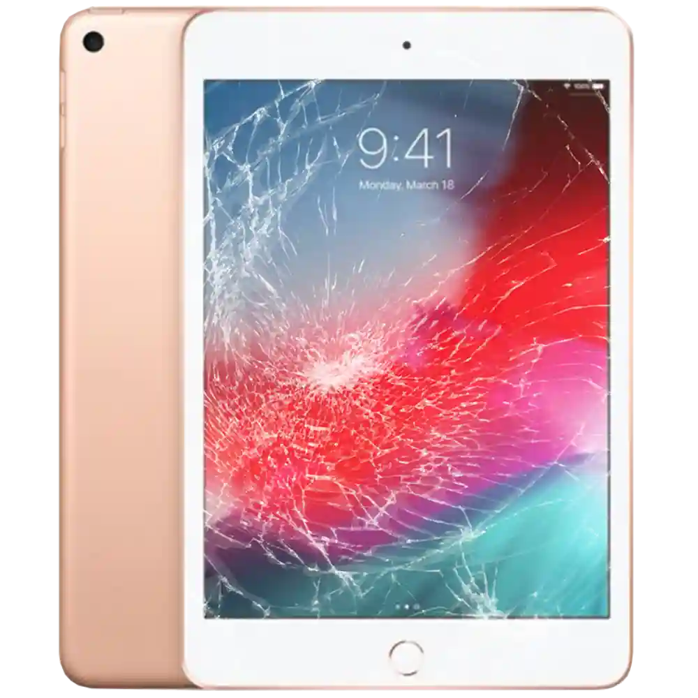 iPad mini
